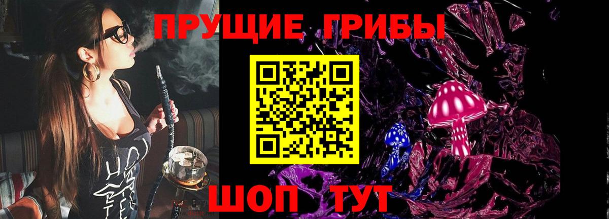купить  сайты  Галлюциногенные грибы Psilocybine cubensis  Вход с VPN  Семилуки 
