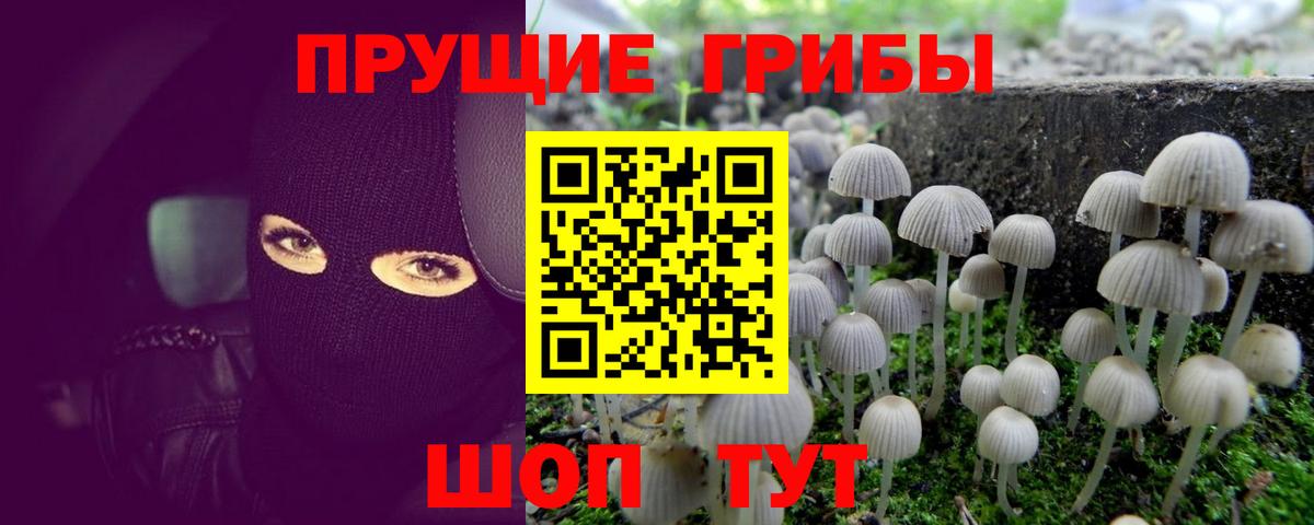 Галлюциногенные грибы Cubensis Семилуки